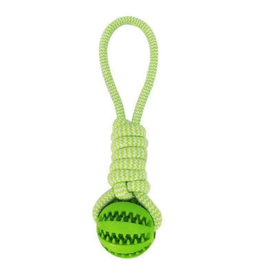 Interactive Dog Treat Ball