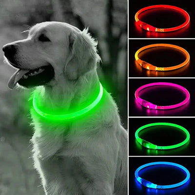 LED Dog Collar - USB Glowing