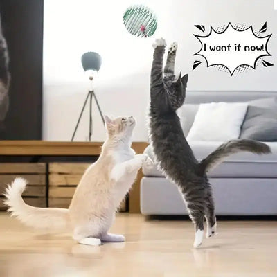 Interactive Cat Toy Balls