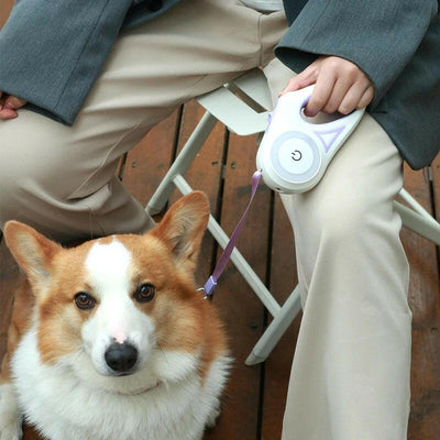 Illuminated Retractable Dog Leash