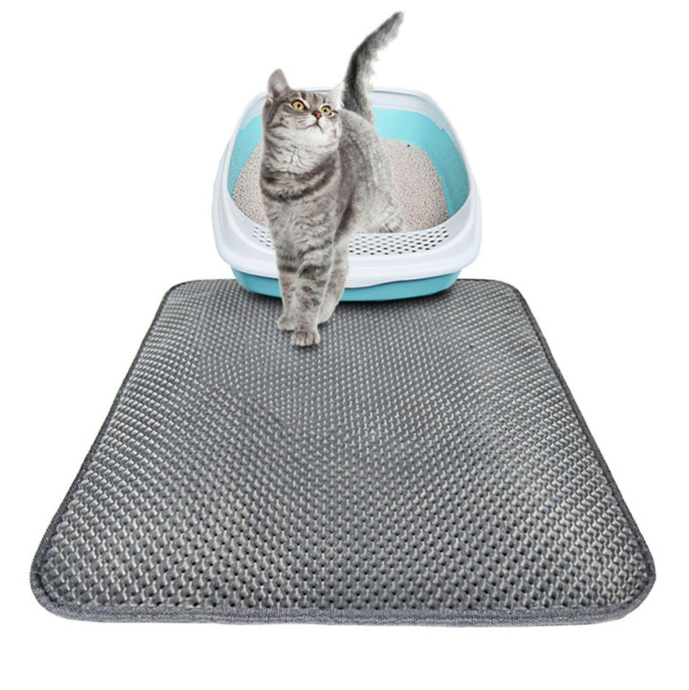 Double Layer Cat Litter Mat