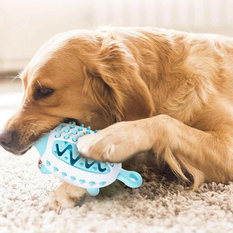 Interactive Dog Chew Toy