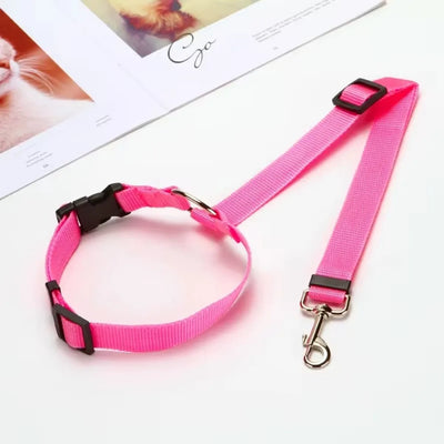 Two-in-One Pet Car Seatbelt