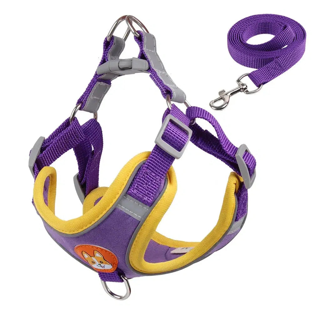 Adjustable Reflective Dog Harness Set