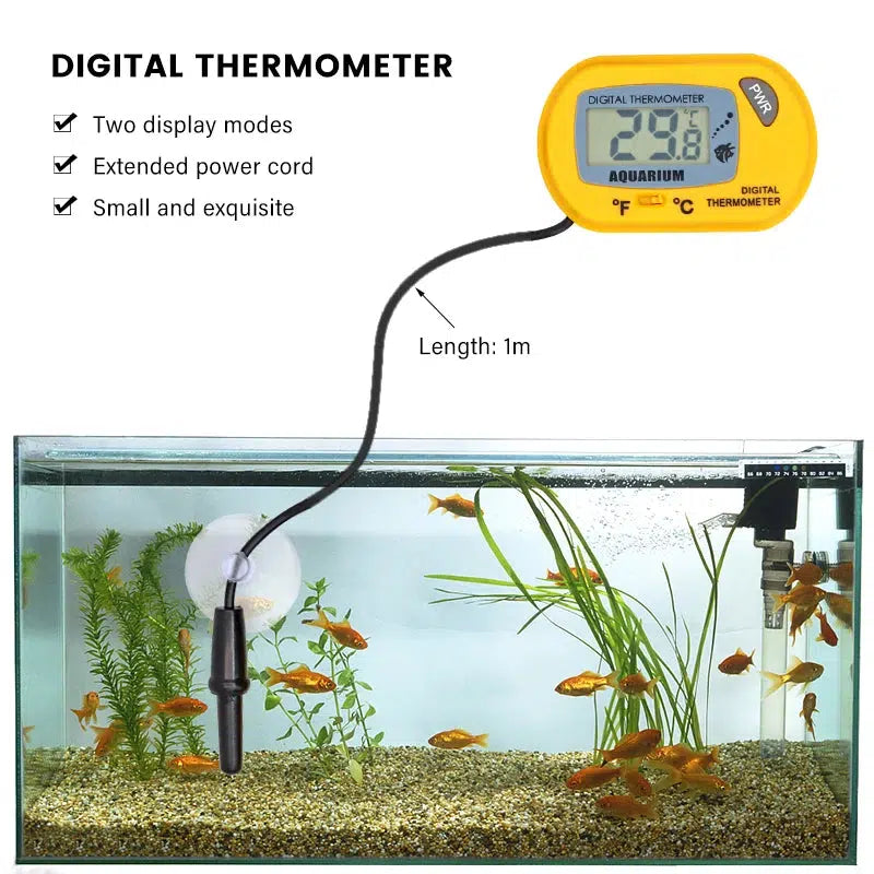 Digital Aquarium Thermometer