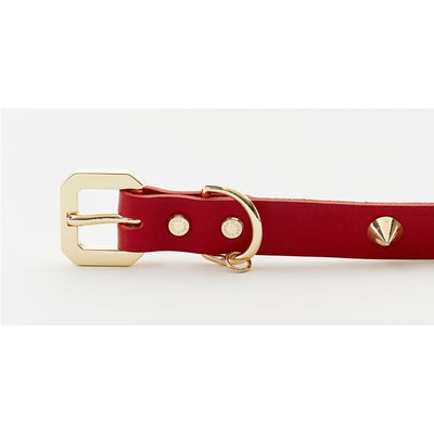 Golden Spike Red Collar – Bold, Durable, Luxurious Emerald Alfie