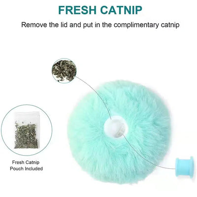 Interactive Catnip Squeak Ball