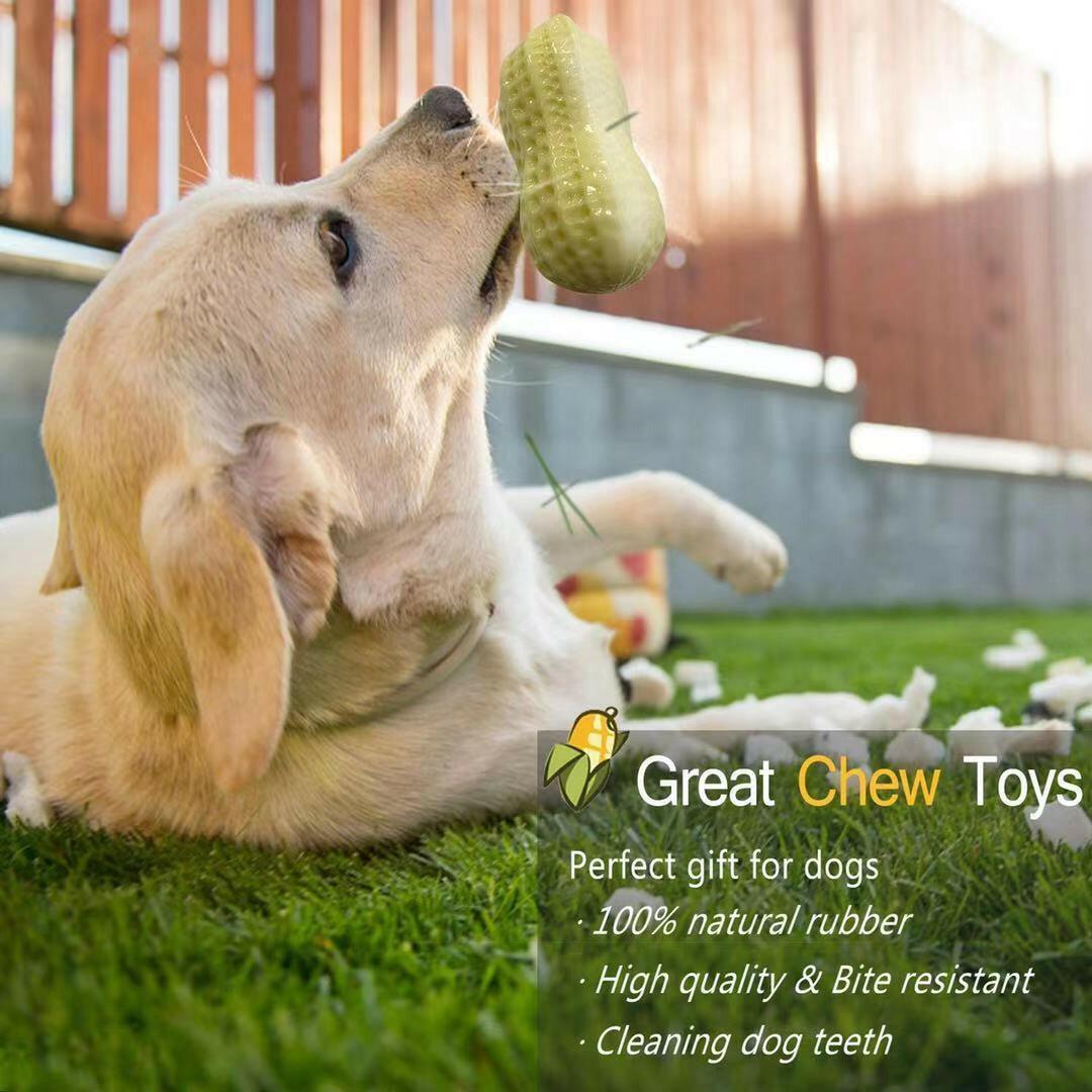 Squeaky Dog Chew Toy