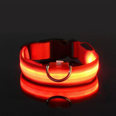 LED Glow Dog Collar