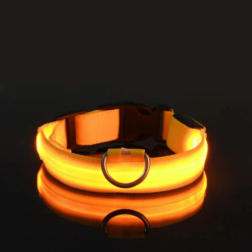 LED Glow Dog Collar