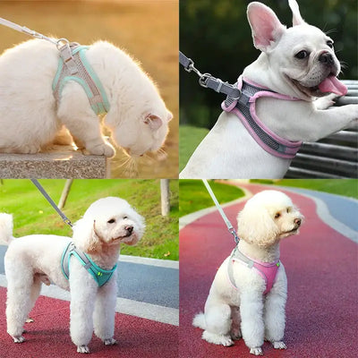 Adjustable Cat & Dog Harness Set