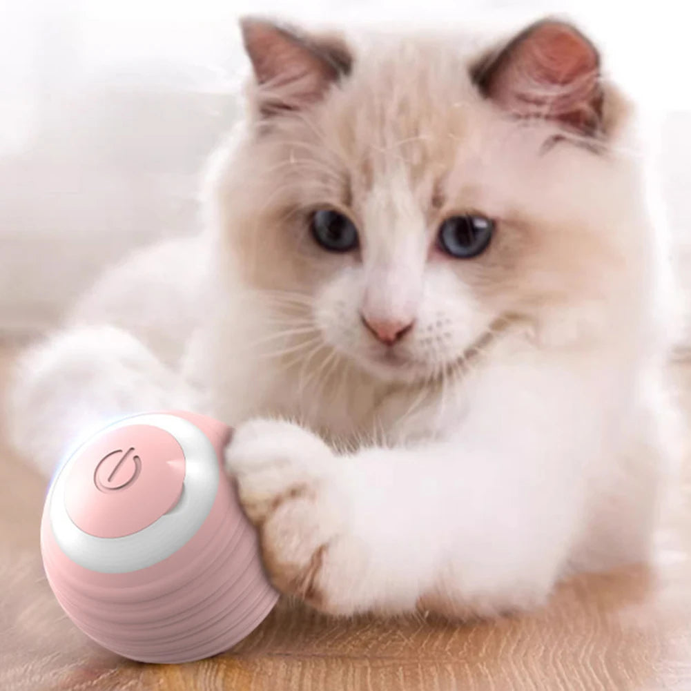 360° Cat Toy Ball