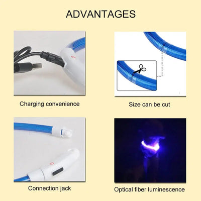 LED Dog Collar - USB Glowing