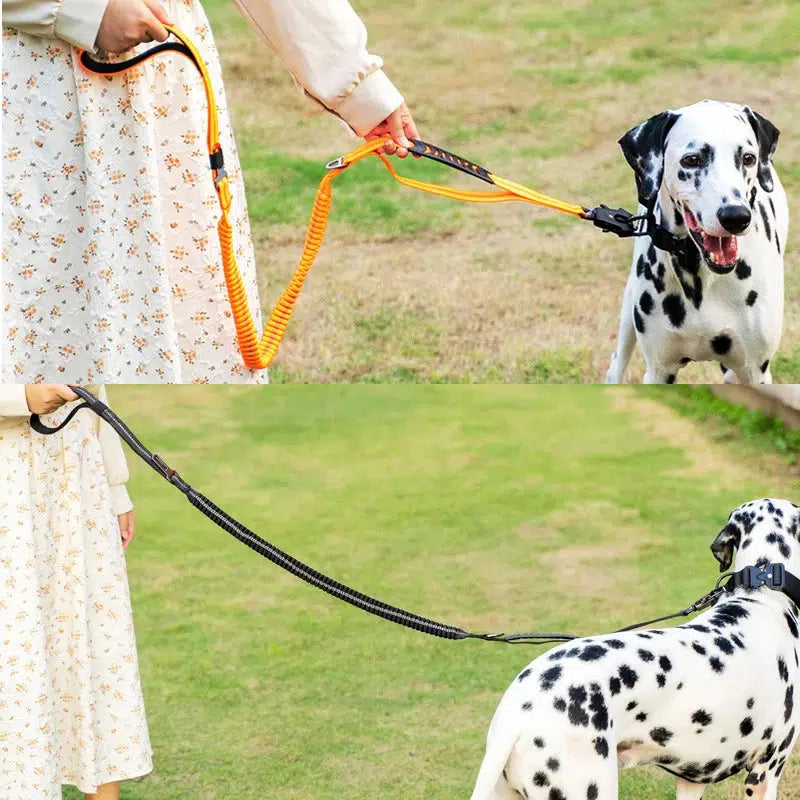 Tactical Bungee Dog Leash