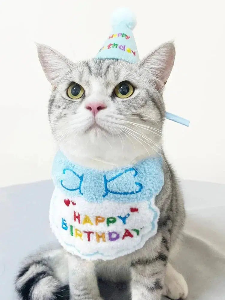 Pet Birthday Party Set