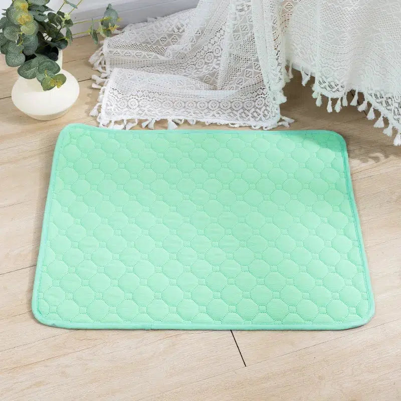 Washable Dog Pee Pad Blanket