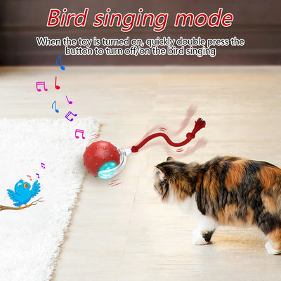 Chirping Cat Toy Ball