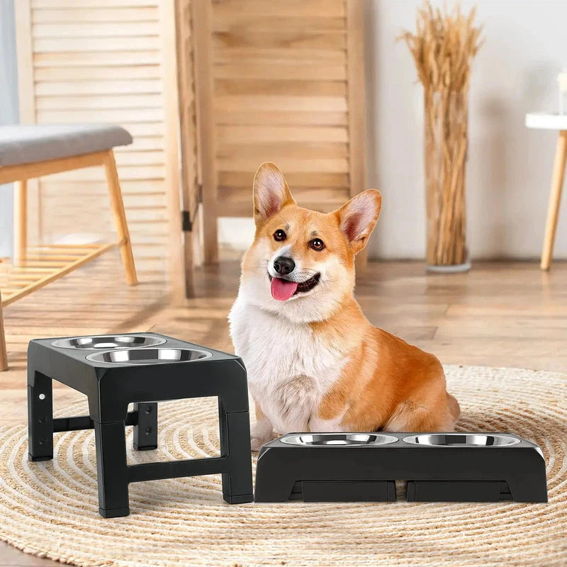 Adjustable Raised Dog Feeder with Double Bowls AliExpress