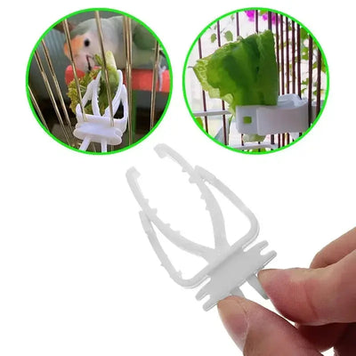 Bird Food Holder and Feeder Clip for Parrots AliExpress