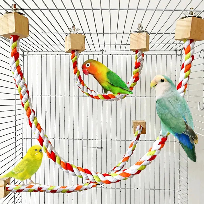 Colorful Parrot Climbing and Bite Toy with Swing Stand AliExpress