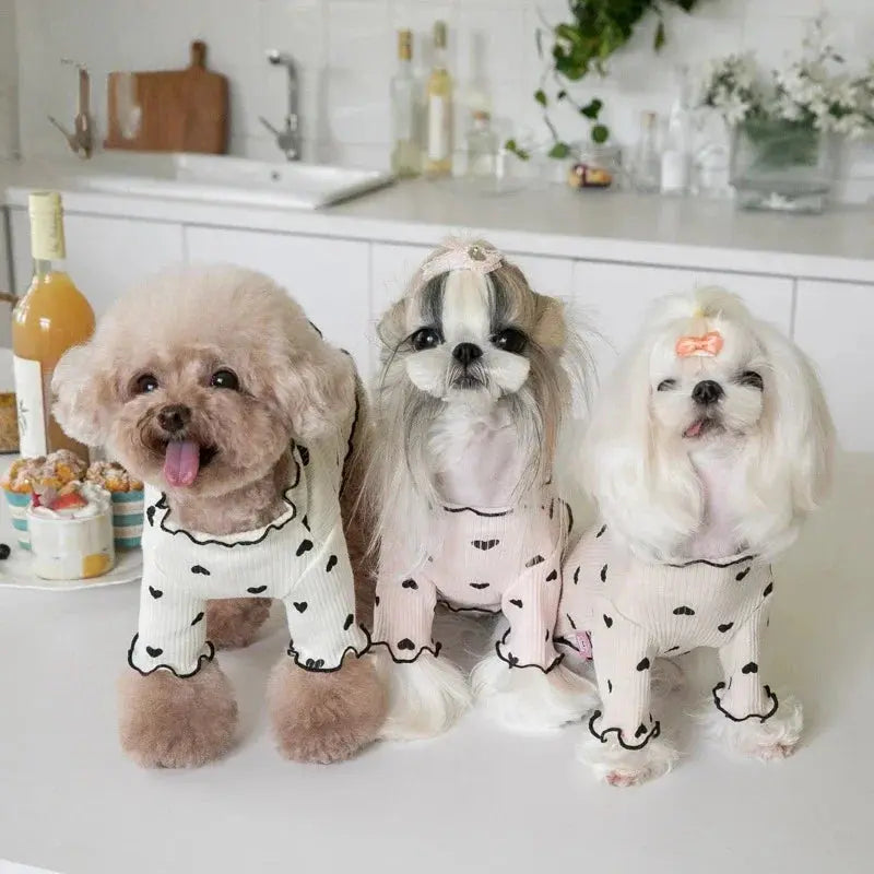 Cozy Embroidered Bear Pet Vest for Winter AliExpress