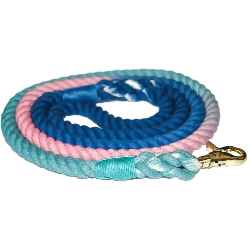 Vitamin Sea Dog Leash: Stylish and Durable for Adventures Scarlet Gaia