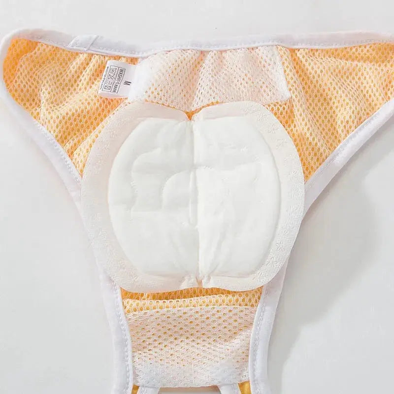 Disposable Dog Diapers for Female Dogs AliExpress