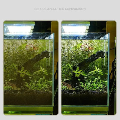 Dual-Use Fish Tank Algae & Sand Cleaning Tool AliExpress