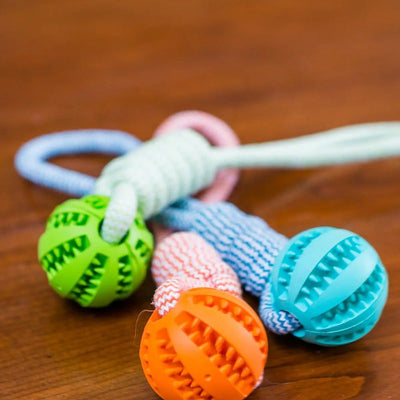 Durable Rubber Ball Chew Toy with Cotton Rope Teal Zeus