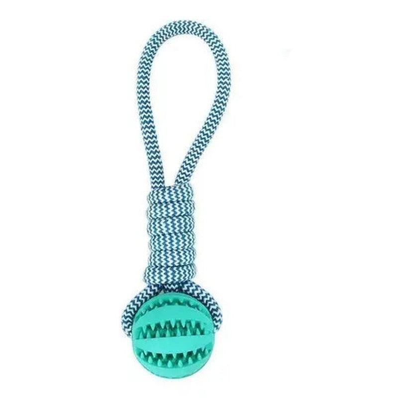 Durable Rubber Ball Chew Toy with Cotton Rope Teal Zeus