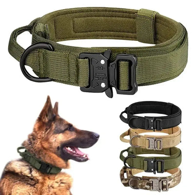 Durable Tactical Dog Collar with Metal Buckle for Outdoors AliExpress