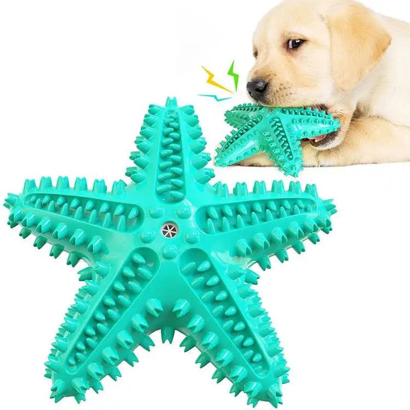 Fast Shipping 3 Pack Squeaky Toothbrush & Cotton Rope Ball Dog Toys Teal Zeus