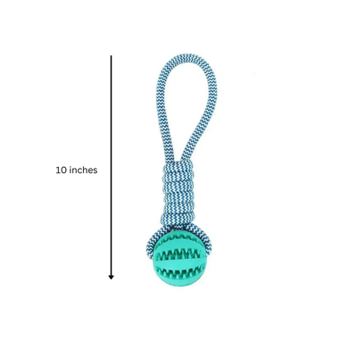 Fast Shipping 3 Pack Squeaky Toothbrush & Cotton Rope Ball Dog Toys Teal Zeus