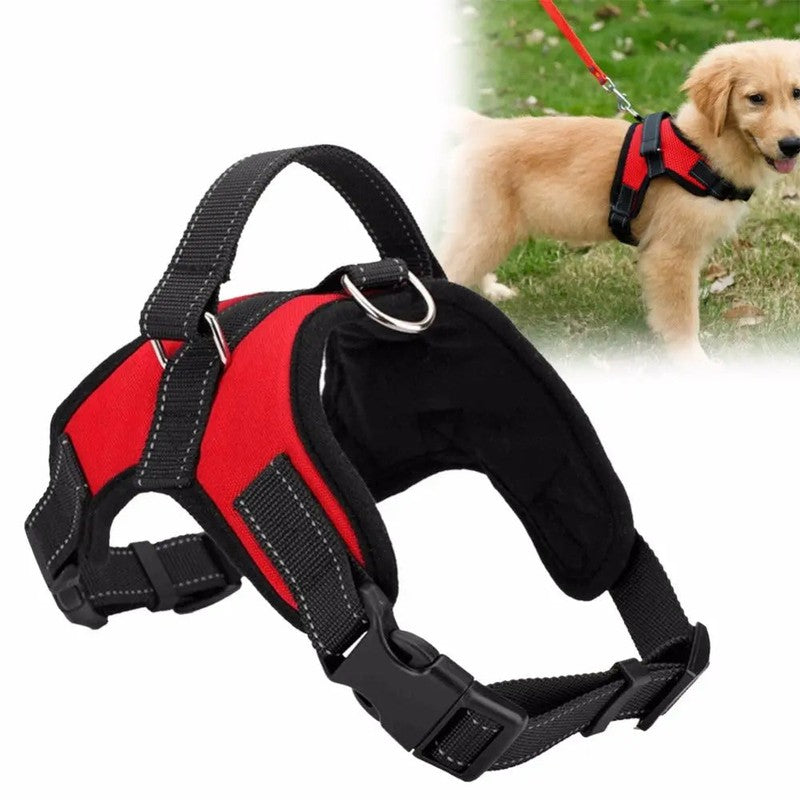 Fast Shipping Adjustable Dog Pet Harness Teal Zeus