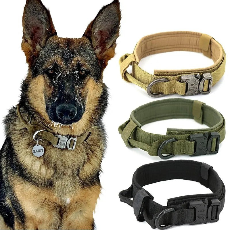 Fast Shipping Durable Military Tactical Dog Collar Teal Zeus