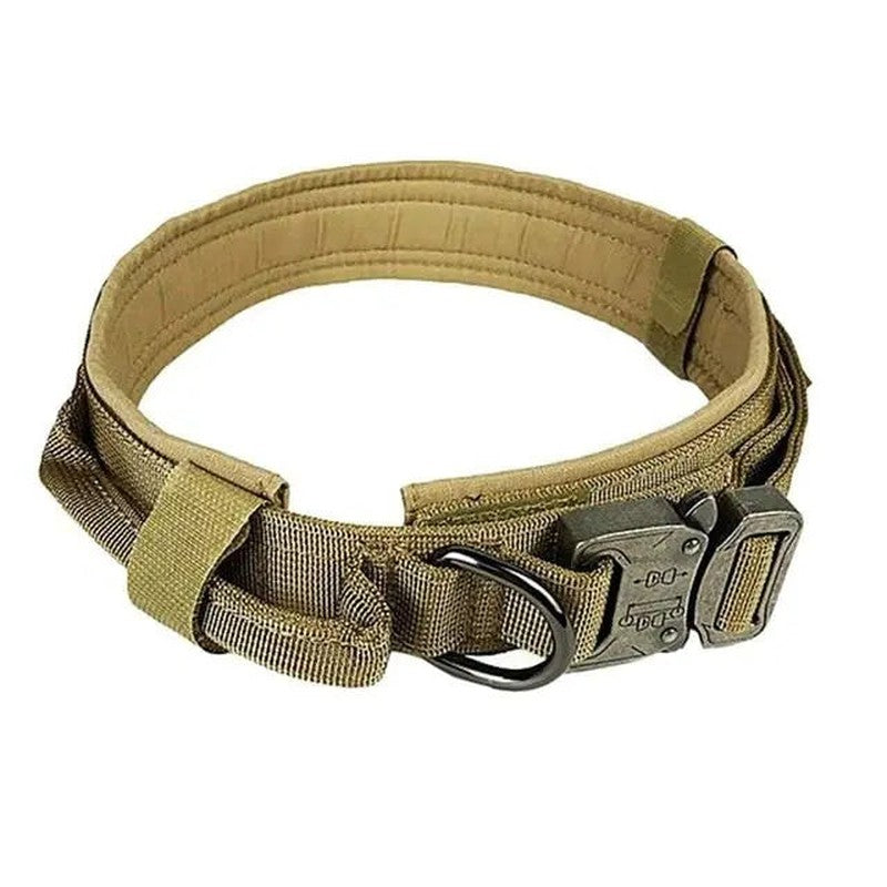 Fast Shipping Durable Military Tactical Dog Collar Teal Zeus