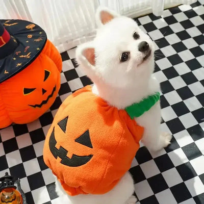 Funny Pumpkin Dog Halloween Costume with Hat AliExpress