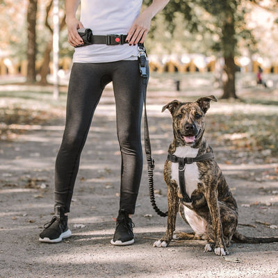 Waist Belt & Bungee Leash: Hands-Free Dog Adventures Beige Antigone