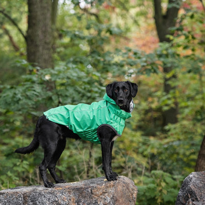 Reversible Elasto-Fit Green Raincoat for Stylish Dogs Beige Antigone