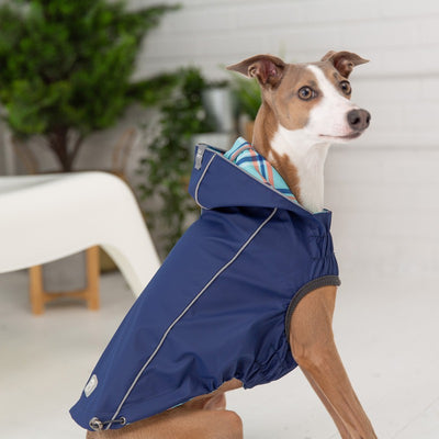 Reversible Elasto-Fit Navy Raincoat for Stylish Dogs Beige Antigone