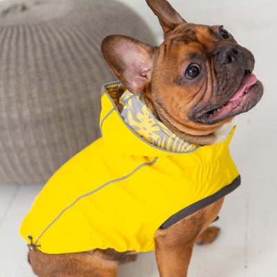 Reversible Elasto-Fit Yellow Raincoat for Dogs Beige Antigone