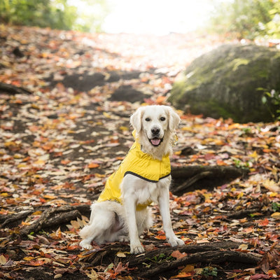 Reversible Elasto-Fit Yellow Raincoat for Dogs Beige Antigone