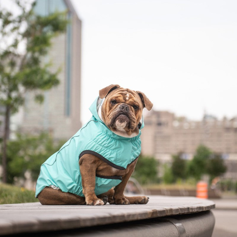 Reversible Neon Aqua & Iridescent Raincoat for Dogs Beige Antigone