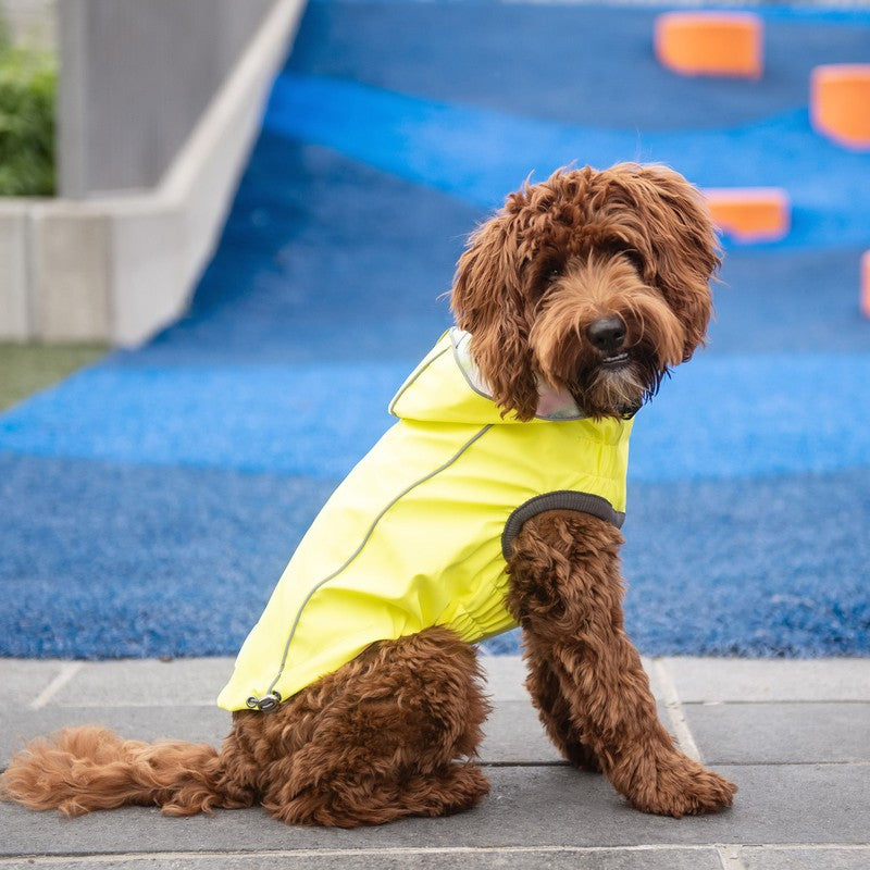 Neon Yellow & Tie-Dye Reversible Waterproof Dog Raincoat Beige Antigone