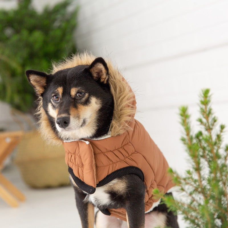 Urban Parka - Caramel: Stylish Warmth for Cold Adventures Beige Antigone