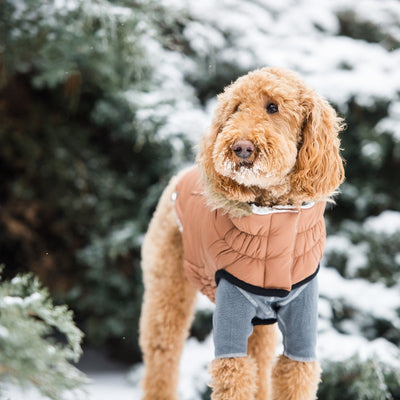 Urban Parka - Caramel: Stylish Warmth for Cold Adventures Beige Antigone