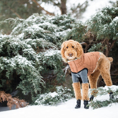 Urban Parka - Caramel: Stylish Warmth for Cold Adventures Beige Antigone