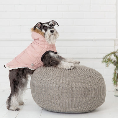 Urban Parka - Pink: Cozy and Stylish for Your Dog Beige Antigone