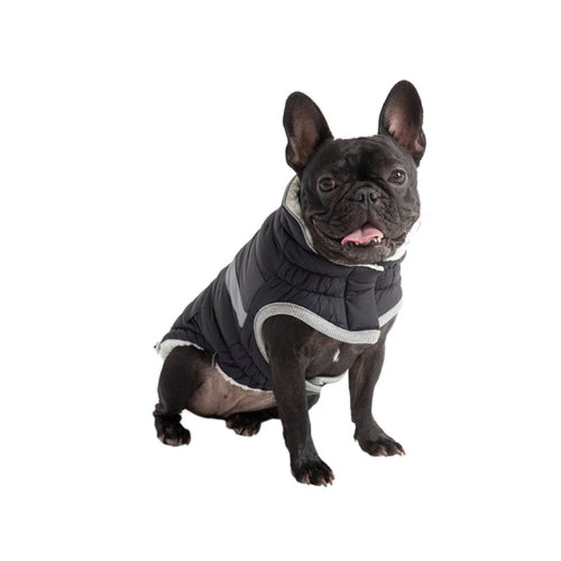 Alpine Puffer - Black Stylish Warm Jacket for Dogs Beige Antigone