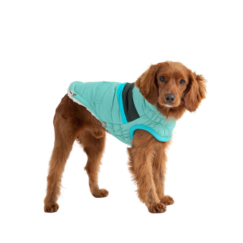 Alpine Puffer - Light Aqua Stylish Dog Jacket Beige Antigone